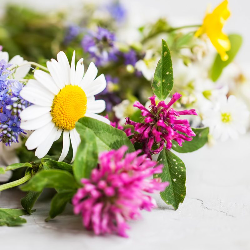 shutterstock_1096402010