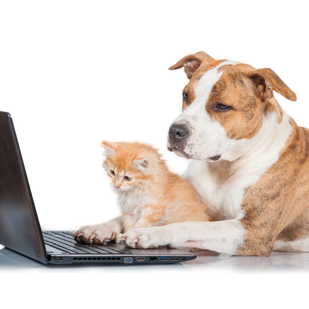 shutterstock_288521354